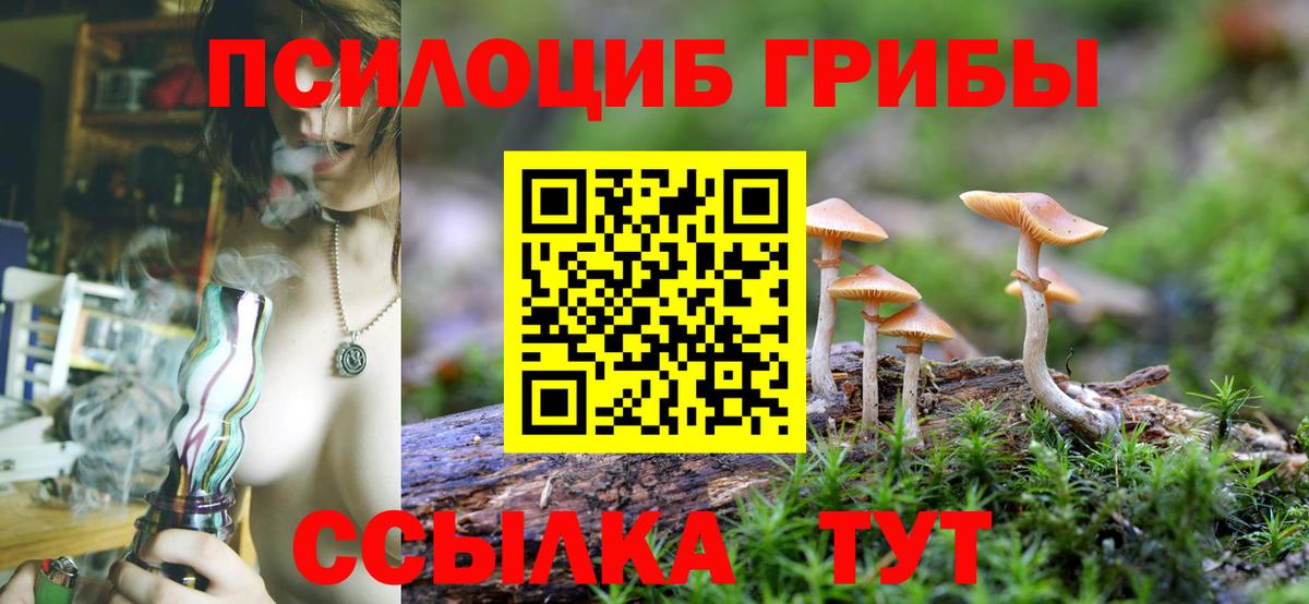 Псилоцибиновые грибы Magic Shrooms  Вход с VPN  Псилоцибиновые грибы ЛСД  Родники 